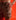 TerrainKelp/TangerineReflectiv