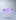 Lavender/White