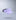 Lavender/White